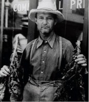 “Montgomery County Tobacco Farmer Holding Tobacco Leaves.”  This photo was taken in Montgomery County, Tennessee, probably near the late 1800s or early 1900s.