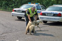 At one of the intersections and the local pooches. (Photo by CPD-Jim Knoll)