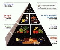 Food Guide Pyramid 