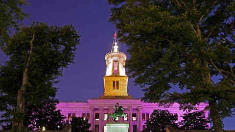 Tennessee State Capitol illuminated in honor of 2010 World Elder Abuse Awareness Day. (Photo by Rob Johnson, State of Tennessee)