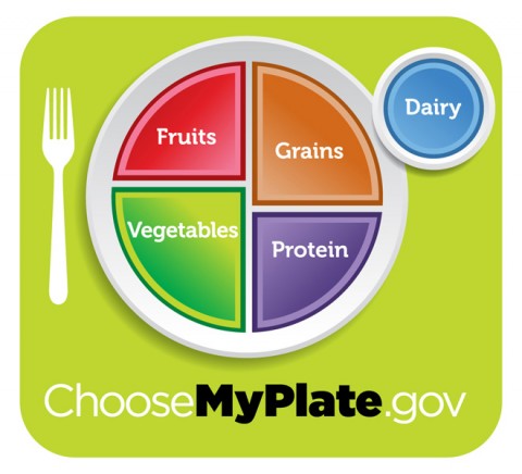 MyPlate icon emphasizes the fruit, vegetable, grains, protein and dairy food groups.