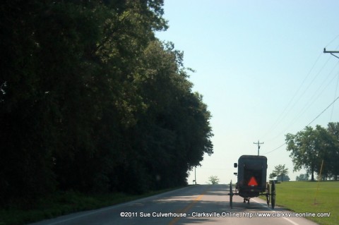 An Amish Buggy