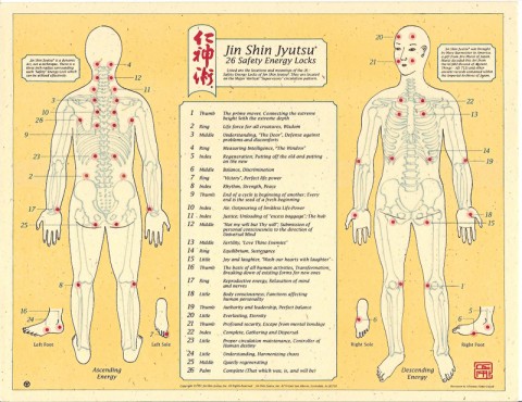 The 26 Jin Sin Jyutsu Energy Lock Points