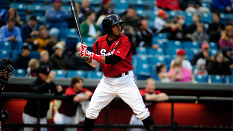 Nashville Sounds Baseball. (Mike Strasinger) Nashville Sounds Baseball. (Mike Strasinger)