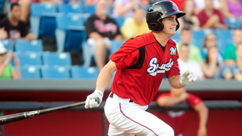 Nashville Sounds Baseball. (Mike Strasinger) Nashville Sounds Baseball. (Mike Strasinger)