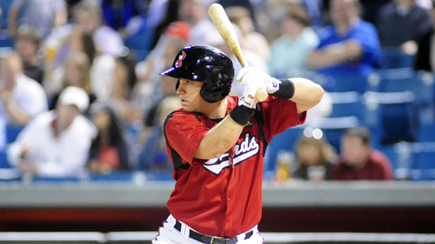 Nashville Sounds Baseball. (Mike Strasinger) Nashville Sounds Baseball. (Mike Strasinger)