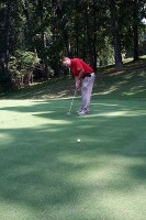 The new Championshiop Bermuda grass greens at Swan Lake Golf Course.