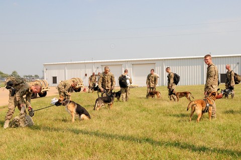 Dog Handlers with 2nd Brigade Combat Team, 101st Airborne Division (Air Assault), rest their Tactical Explosive Detection Dogs after landing at Fort Campbell Army Airfield, Fort Campbell, KY, August 24th. This is the first of two flights returning Combined Task force Strike dog handling Soldiers from Afghanistan to Fort Campbell. (U.S. Army Photo By Spc. Shawn Denham, PAO, 2nd BCT, 101st Abn. Div.)