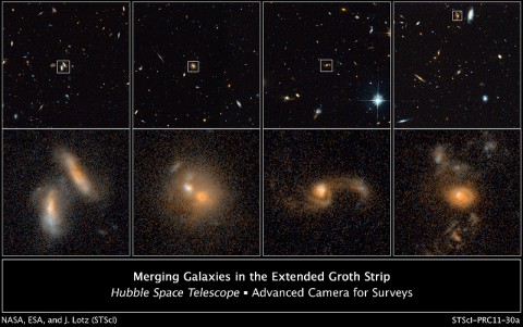 These images from NASA's Hubble Space Telescope's ACS in 2004 and 2005 show four examples of interacting galaxies far away from Earth. The galaxies, beginning at far left, are shown at various stages of the merger process. The top row displays merging galaxies found in different regions of a large survey known as the AEGIS. More detailed views are in the bottom row of images. (Credit: NASA; ESA; J. Lotz, STScI; M. Davis, University of California, Berkeley; and A. Koekemoer, STScI) These images from NASA's Hubble Space Telescope's ACS in 2004 and 2005 show four examples of interacting galaxies far away from Earth. The galaxies, beginning at far left, are shown at various stages of the merger process. The top row displays merging galaxies found in different regions of a large survey known as the AEGIS. More detailed views are in the bottom row of images. (Credit: NASA; ESA; J. Lotz, STScI; M. Davis, University of California, Berkeley; and A. Koekemoer, STScI)