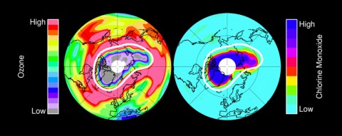 Left: Ozone in Earth's stratosphere at an altitude of approximately 12 miles (20 kilometers) in mid-March 2011, near the peak of the 2011 Arctic ozone loss. Right: chlorine monoxide – the primary agent of chemical ozone destruction in the cold polar lower stratosphere – for the same day and altitude. The white line marks the area within which the chemical ozone destruction took place. (Image credit: NASA/JPL-Caltech)