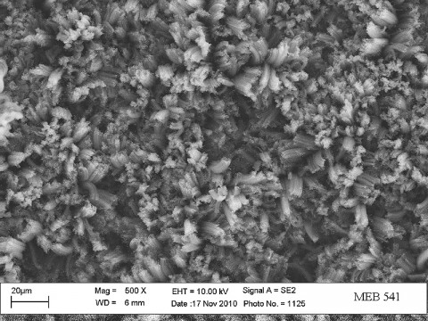 This high-magnification image, taken with an electron microscope, shows an even closer view of the hollow carbon nanotubes. A coating made of this material is seen as black by the human eye and sensitive detectors because the tiny gaps between the tubes collect and trap light, preventing reflection. (Credit: Stephanie Getty, NASA Goddard) This high-magnification image, taken with an electron microscope, shows an even closer view of the hollow carbon nanotubes. A coating made of this material is seen as black by the human eye and sensitive detectors because the tiny gaps between the tubes collect and trap light, preventing reflection. (Credit: Stephanie Getty, NASA Goddard)