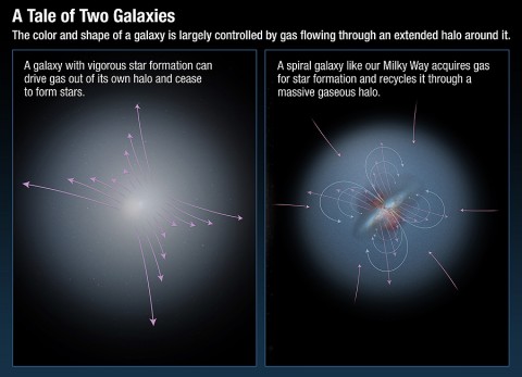 The color and shape of a galaxy is largely controlled by gas flowing through an extended halo around it. All modern simulations of galaxy formation find that they cannot explain the observed properties of galaxies without modeling the complex accretion and "feedback" processes by which galaxies acquire gas and then later expel it after chemical processing by stars.  (Credit: NASA; ESA; A. Feild, STScI)