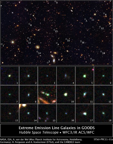 This image reveals 18 tiny galaxies uncovered by NASA's Hubble Space Telescope. The puny galaxies, shown in the postage stamp-sized images, existed 9 billion years ago and are brimming with star birth. Hubble's Wide Field Camera 3 and Advanced Camera for Surveys spied the galaxies in a field called the Great Observatories Origins Deep Survey (GOODS). (Credit: NASA, ESA, A. van der Wel (Max Planck Institute for Astronomy, Heidelberg, Germany), H. Ferguson and A. Koekemoer (STScI.), and the CANDELS team) 