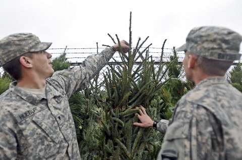 Spc. William Snyder, a gunner with Headquarters and Headquarters Company, 1st Battalion, 327th Infantry Regiment, and Spc. Joshua Hulburt, a mortar man with HHC, 1-327th Inf. Bn, pick out a suitable Christmas tree donated by Trees for Troops here at the Fryar Stadium Dec. 5th. (Photo by Sgt. Richard Daniels Jr)