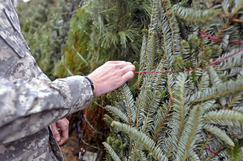 Trees for Troops donate hundreds of Christmas trees to Fort Campbell soldiers, Dec. 3rd-6th, to show their appreciation to troops for their services. (Photo by Sgt. Richard Daniels Jr)