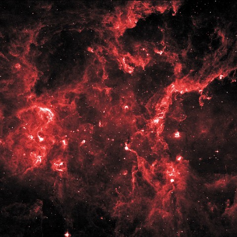 Cygnus X hosts many young stellar groupings, including the OB2 and OB9 associations and the cluster NGC 6910. The combined outflows and ultraviolet radiation from the region's numerous massive stars have heated and pushed gas away from the clusters, producing cavities of hot, lower-density gas. In this 8-micron infrared image, ridges of denser gas mark the boundaries of the cavities. Bright spots within these ridges show where stars are forming today. (Credit: NASA/IPAC/MSX)