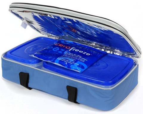 Travelin' Chef Expandable Thermal Food Carrier recalled.