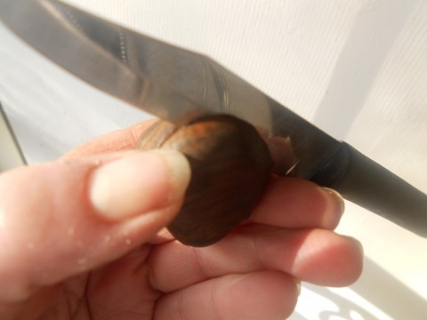 Scoring the Chestnuts