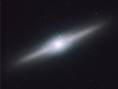 This spectacular edge-on galaxy, called ESO 243-49, is home to an intermediate-mass black hole that may have been stripped off of a cannibalized dwarf galaxy. This is an unlikely place for such a massive back hole to exist, unless it belonged to a small galaxy that was gravitationally torn apart by ESO 243-49. (Credit: NASA; ESA; and S. Farrell, Sydney Institute for Astronomy, University of Sydney)