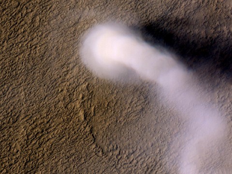 A Martian dust devil roughly 12 miles (20 kilometers) high was captured winding its way along the Amazonis Planitia region of Northern Mars on March 14, 2012 by the High Resolution Imaging Science Experiment (HiRISE) camera on NASA's Mars Reconnaissance Orbiter. Despite its height, the plume is little more than three-quarters of a football field wide (70 yards, or 70 meters). (Image credit: NASA/JPL-Caltech/UA)