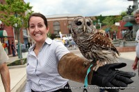 A festival attendee gets a chance to hold a Barred Owl A festival attendee gets a chance to hold a Barred Owl