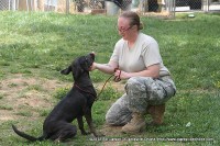 A volunteer working with one of the dogs at the Animal Shelter