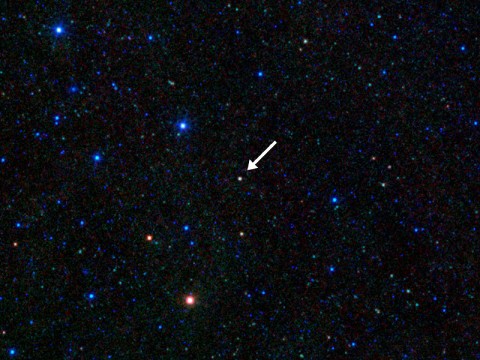 This image taken by NASA's Wide-field Infrared Survey Explorer (WISE) shows a blazar -- a voracious supermassive black hole inside a galaxy with a jet that happens to be pointed right toward Earth. These objects are rare and hard to find, but astronomers have discovered that they can use the WISE all-sky infrared images to uncover new ones. So far, researchers have found more than 200 new blazars. (Image credit: NASA/JPL-Caltech/Kavli)