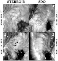 The top images show coronal cells as viewed from above by STEREO-B (on the left) and SDO (on the right). Their diameters are about 18,000 miles. The bottom images show the same region as viewed almost simultaneously from the sides by STEREO-B (on the left) and SDO (on the right). The heads of the black and white arrows mark identical points on the sun as seen from STEREO-B and SDO, respectively. (Credit: NASA/STEREO/SDO/NRL)