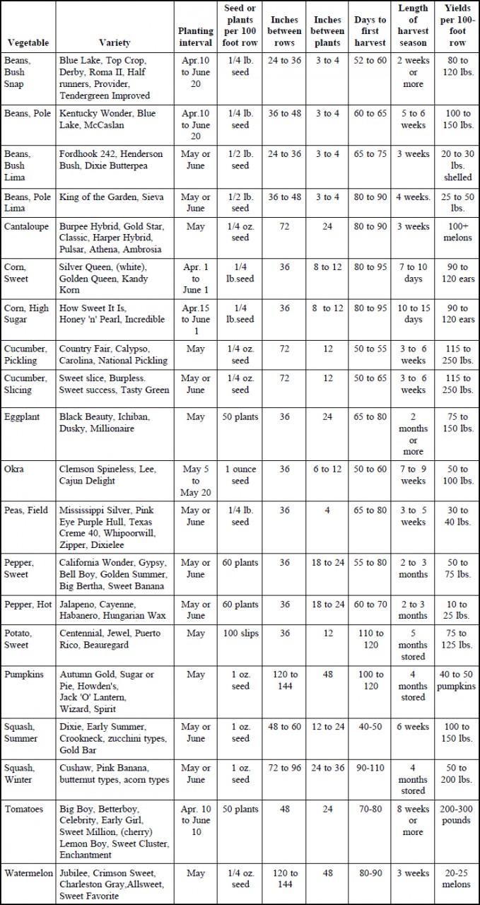 Warm Season Garden Vegetables