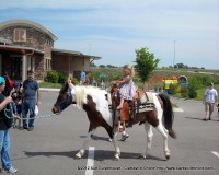 A young girl rides a pony at the Clarksville Association of Realtor’s Project F.U.E.L. Fundraiser on Saturday