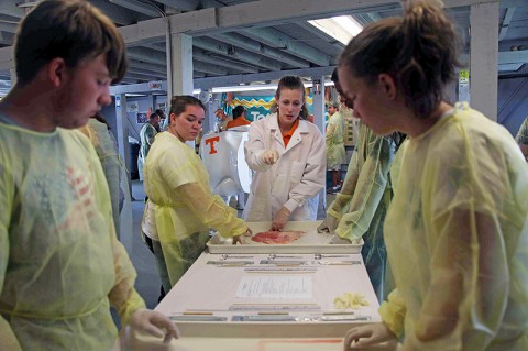 STEM - Disection. (Photo by CMCSS Communications Department)