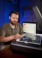 Technician G. John Lazur (formerly with ARS) scans soybean root with winRHIZO software to digitize root growth. (Peggy Greb)