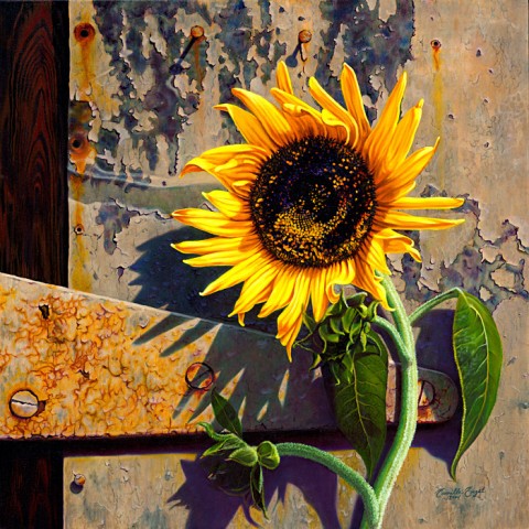 Engel Sunflower Engel Sunflower
