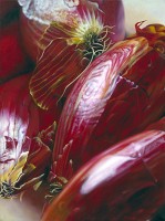 Engel Red Onions Engel Red Onions