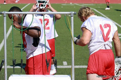 Austin Peay Football. (Courtesy: Austin Peay Sports Information)