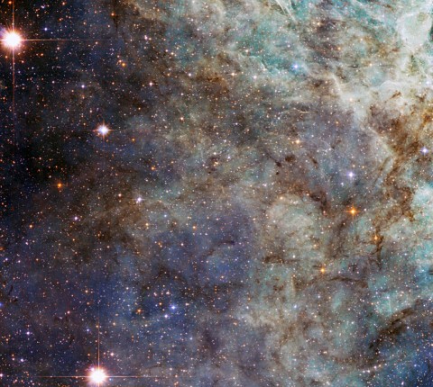 A close up of the main cloud in the Tarantula Nebula. A close up of the main cloud in the Tarantula Nebula.
