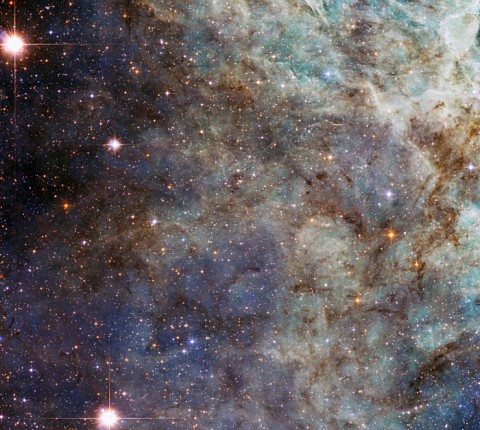 A close up of the main cloud in the Tarantula Nebula.