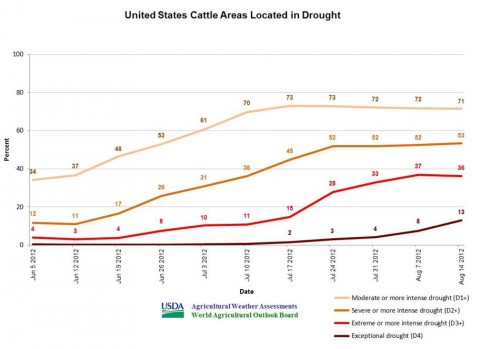 U.S. cattle areas located in drought.