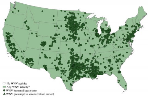 West Nile virus (WNV) activity reported to ArboNET, by state, United States, 2012 (as of September 11th, 2012)