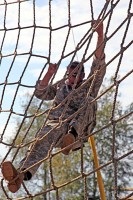 A Green Beret from the 5th Special Forces Group (Airborne) climbs down a rope ladder as part of an obstacle titled “the tough one” during a two-day competition designed to push their minds and bodies to the limits. (Photo by Sgt. Kelly Fox)