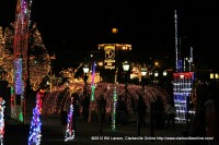 People enjoying Christmas on the Cumberland on November 20th