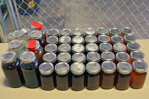 44 jars of Moonshine discovered at Clarksville residence. (Photo by CPD-Agent Daryl Pace)