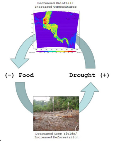 A deadly cycle of drought, warming and deforestation may have doomed the Maya. 