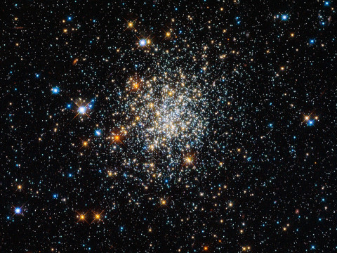 Open cluster NGC 411 located in the Small Magellanic Cloud. (Photo credit ESA/Hubble & NASA)