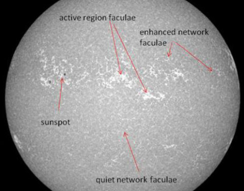 This image of the Sun's upper photosphere shows bright and dark magnetic structures responsible for variations in TSI. (SOURCE: Courtesy of P. Foukal, Heliophysics, Inc.)