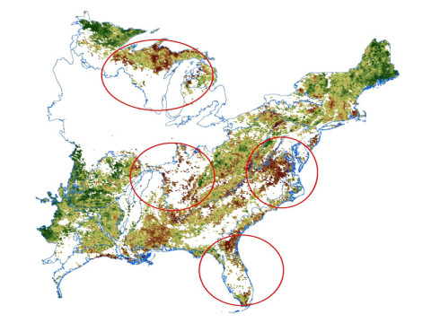 Trends in forest canopy green cover over the eastern United States from 2000 to 2010 derived from NASA MODIS satellite sensor data. Green shades indicate a positive trend of increasing growing season green cover, whereas brown shades indicate a negative trend of decreasing growing season green cover. Four forest sub-regions of interest are outlined in red, north to south as: Great Lakes, Southern Appalachian, Mid-Atlantic, and southeastern Coastal Plain. (Image credit: NASA)