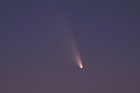 Close-up of comet C/2011 L4 PANSTARRS as seen from Mount Dale, Western Australia. (Image credit: Astronomy Education Services/Gingin Observatory)