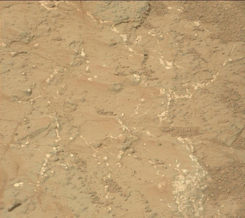 Light-toned nodules and veins are visible in this image from NASA's Mars rover Curiosity of a patch of sedimentary rock called "Knorr." (Image credit: NASA/JPL-Caltech/MSSS)