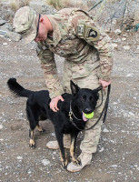 Pfc. William Clark,an infantryman dog handler assigned to 3rd Brigade Combat Team “Rakkasans,” 101st Airborne Division (Air Assault), rewards Spc. Hugo with some play time after a successful demonstration of bomb detection at Forward Operating Base Salerno, Afghanistan, Feb. 26, 2013. Hugo is a Czech shepard taught to smell the odor of explosives through the Tactical Explosive Detection Dog program. (U.S. photo by Spc. Brian Smith-Dutton Task Force 3/101 Public Affairs)