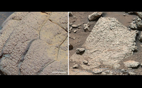 These fine-grained sediments, likely deposited under water, suggest that Mars could have supported ancient microbial life. Data gathered by Curiosity indicate a habitable environment characterized by neutral pH, chemical gradients that would have created energy for microbes, and a distinctly low salinity, which would have helped metabolism if microorganisms had ever been present. (Image Credit: NASA/JPL-Caltech/Cornell/MSSS) These fine-grained sediments, likely deposited under water, suggest that Mars could have supported ancient microbial life. Data gathered by Curiosity indicate a habitable environment characterized by neutral pH, chemical gradients that would have created energy for microbes, and a distinctly low salinity, which would have helped metabolism if microorganisms had ever been present. (Image Credit: NASA/JPL-Caltech/Cornell/MSSS)